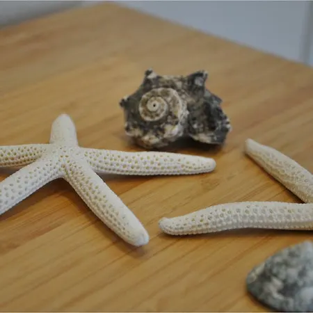 Bella Puglia コンヴェルサーノ